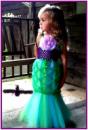 Litte Mermaid tutu Costume Litte Mermaid tutu Costume